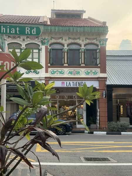 High yield freehold 2.5 storeys with rear extension at Joo Chiat Road